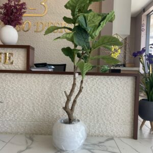 Ficus Artificiel en Pot – Élégance Naturelle, Zéro Entretien