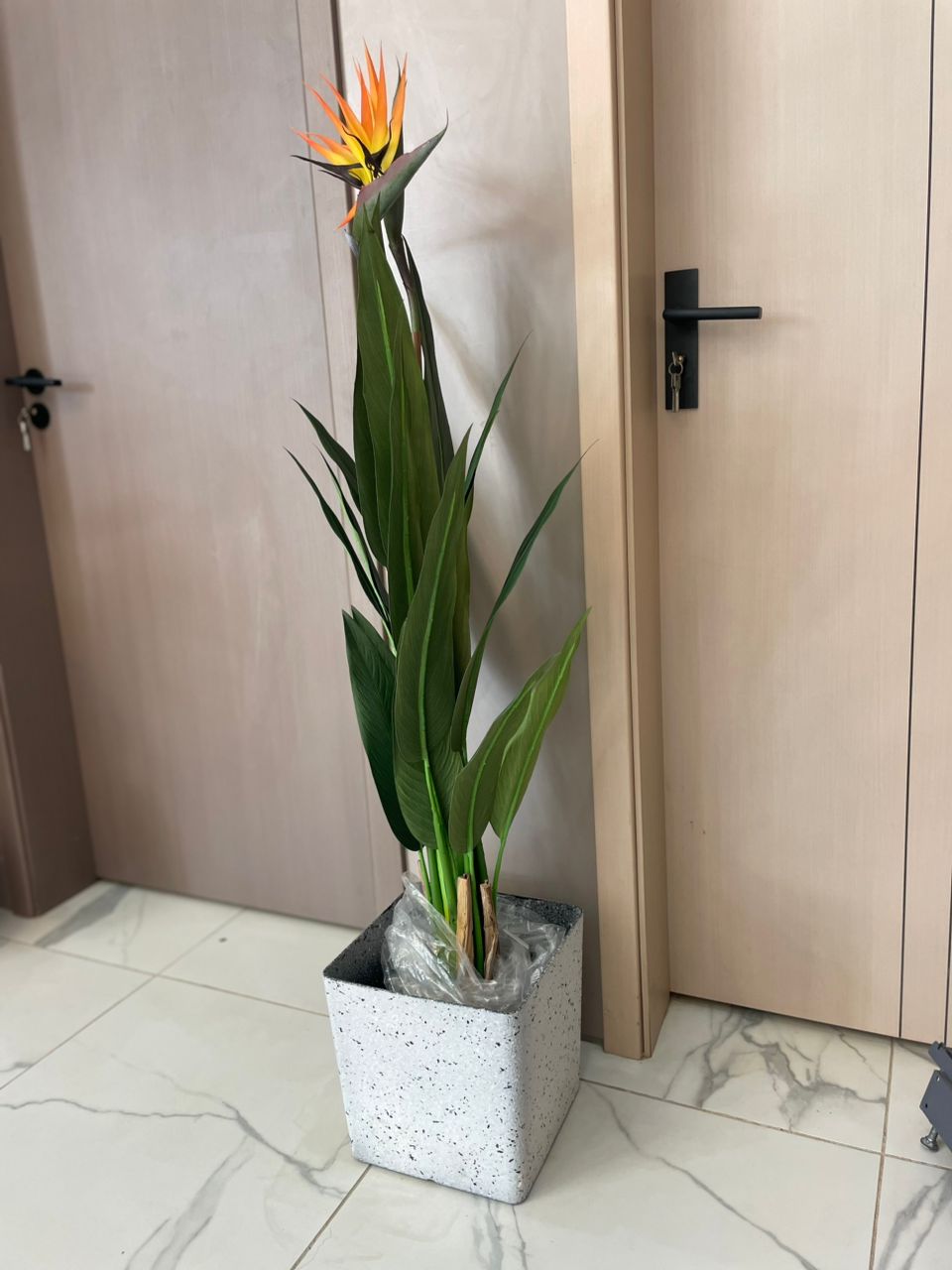 Product List Hover Image