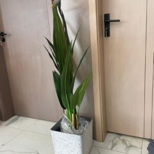 Palmier Artificiel Haute Simulation – Strelitzia Élégant et Réaliste